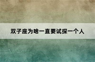 双子座为啥一直要试探一个人