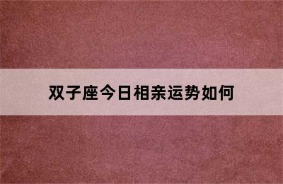 双子座今日相亲运势如何