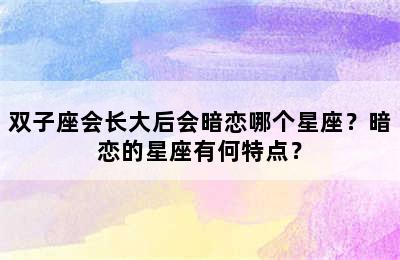双子座会长大后会暗恋哪个星座？暗恋的星座有何特点？