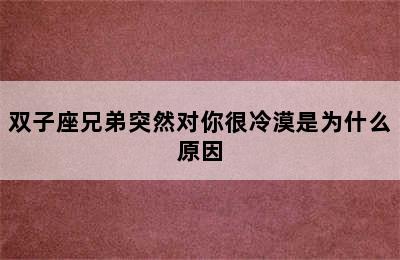 双子座兄弟突然对你很冷漠是为什么原因