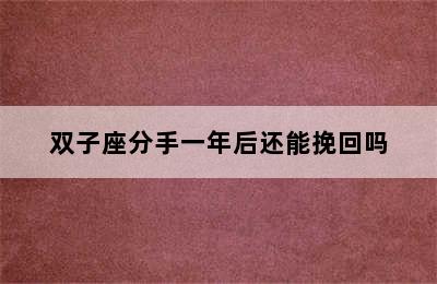 双子座分手一年后还能挽回吗