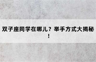 双子座同学在哪儿？举手方式大揭秘！
