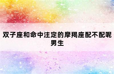 双子座和命中注定的摩羯座配不配呢男生