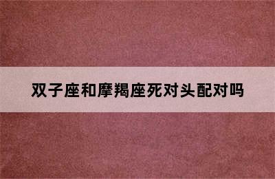 双子座和摩羯座死对头配对吗