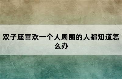 双子座喜欢一个人周围的人都知道怎么办