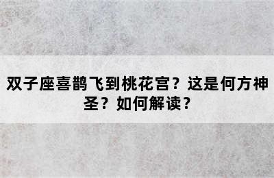 双子座喜鹊飞到桃花宫？这是何方神圣？如何解读？