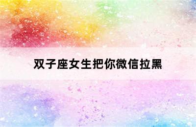 双子座女生把你微信拉黑