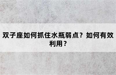 双子座如何抓住水瓶弱点？如何有效利用？
