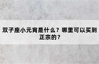 双子座小元宵是什么？哪里可以买到正宗的？