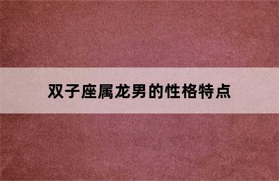 双子座属龙男的性格特点