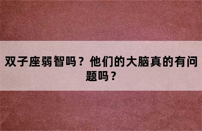 双子座弱智吗？他们的大脑真的有问题吗？