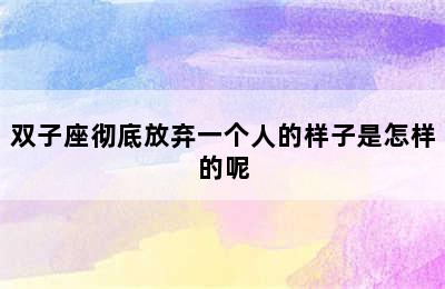 双子座彻底放弃一个人的样子是怎样的呢