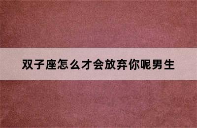 双子座怎么才会放弃你呢男生