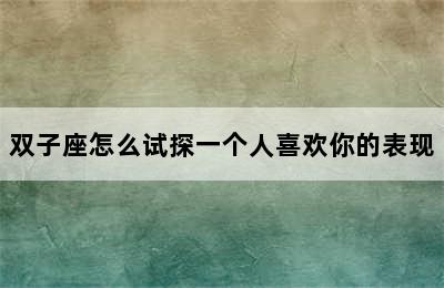 双子座怎么试探一个人喜欢你的表现