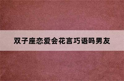 双子座恋爱会花言巧语吗男友