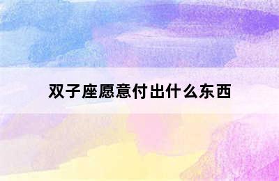 双子座愿意付出什么东西