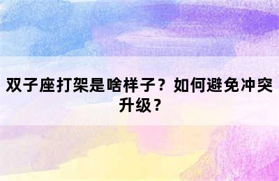 双子座打架是啥样子？如何避免冲突升级？