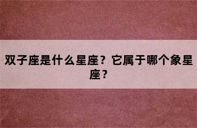 双子座是什么星座？它属于哪个象星座？