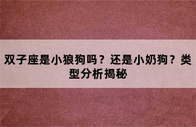 双子座是小狼狗吗？还是小奶狗？类型分析揭秘