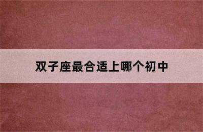 双子座最合适上哪个初中