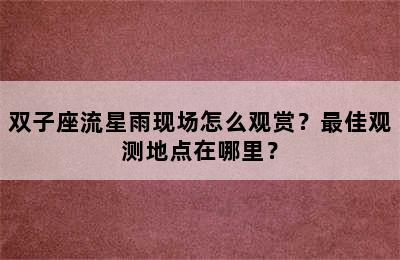 双子座流星雨现场怎么观赏？最佳观测地点在哪里？