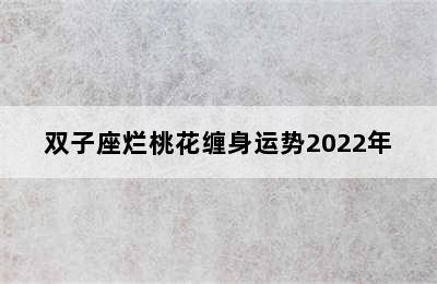 双子座烂桃花缠身运势2022年