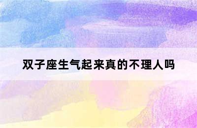 双子座生气起来真的不理人吗