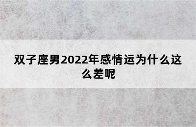 双子座男2022年感情运为什么这么差呢