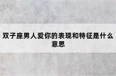 双子座男人爱你的表现和特征是什么意思