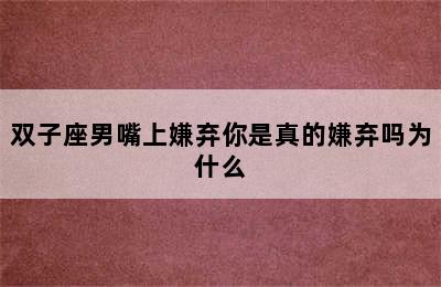 双子座男嘴上嫌弃你是真的嫌弃吗为什么