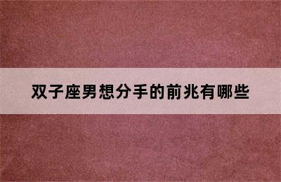 双子座男想分手的前兆有哪些