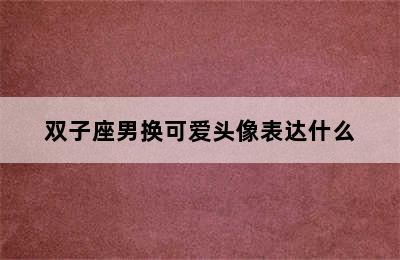 双子座男换可爱头像表达什么