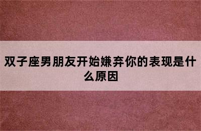 双子座男朋友开始嫌弃你的表现是什么原因