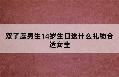 双子座男生14岁生日送什么礼物合适女生