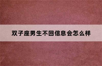 双子座男生不回信息会怎么样