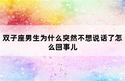 双子座男生为什么突然不想说话了怎么回事儿