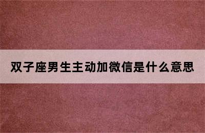 双子座男生主动加微信是什么意思