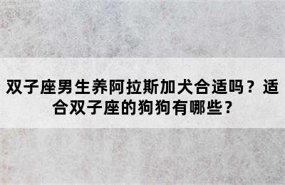 双子座男生养阿拉斯加犬合适吗？适合双子座的狗狗有哪些？