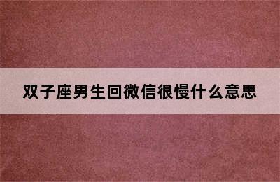 双子座男生回微信很慢什么意思