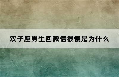 双子座男生回微信很慢是为什么