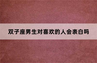 双子座男生对喜欢的人会表白吗