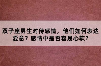 双子座男生对待感情，他们如何表达爱意？感情中是否容易心软？