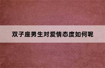 双子座男生对爱情态度如何呢