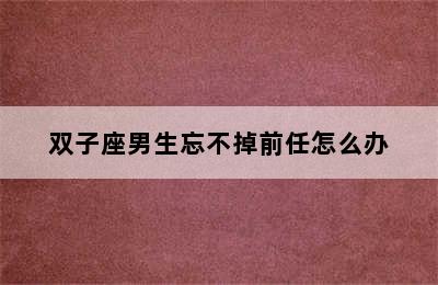 双子座男生忘不掉前任怎么办