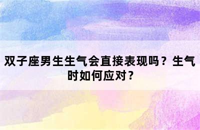 双子座男生生气会直接表现吗？生气时如何应对？