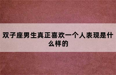 双子座男生真正喜欢一个人表现是什么样的