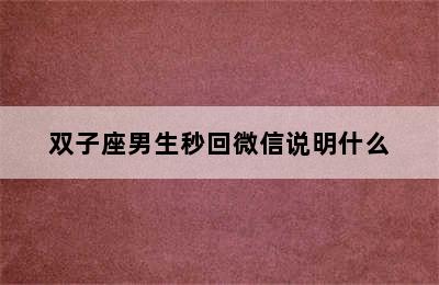 双子座男生秒回微信说明什么