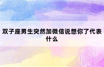 双子座男生突然加微信说想你了代表什么