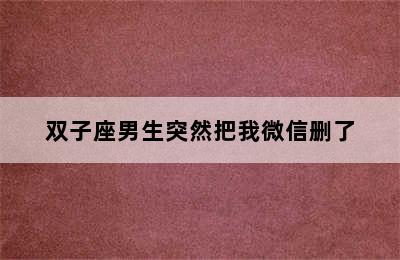 双子座男生突然把我微信删了