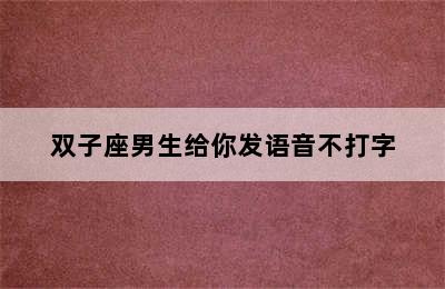 双子座男生给你发语音不打字